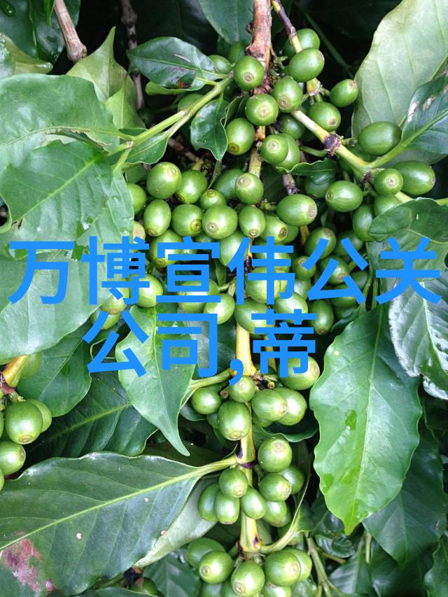 昆明圆领文化衫批发昆明原创设计印字图