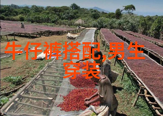 报喜鸟男装与海洋共同呼吸 循环共生 nbsp